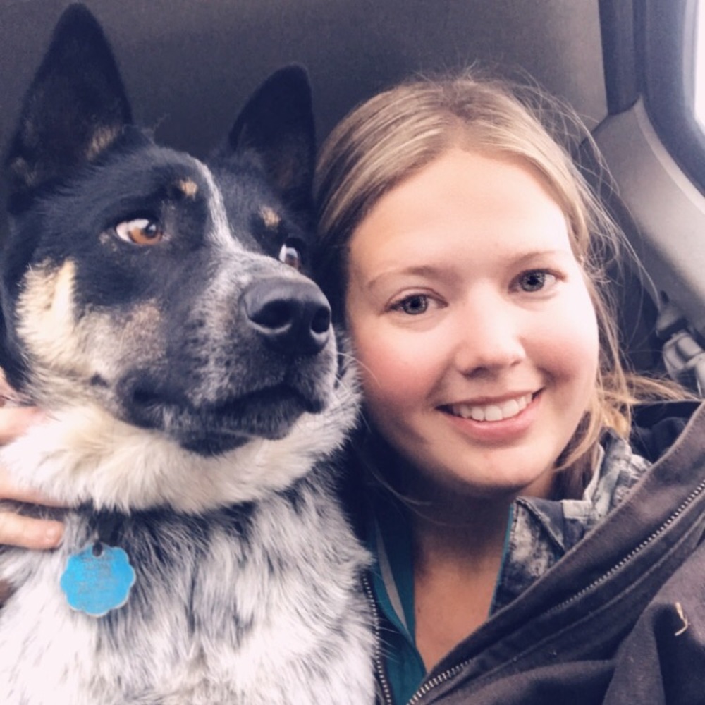 Meet your Posher, Shannon